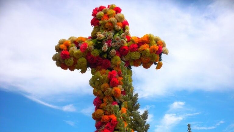 Con flores, devoción y fe se celebra la Cruz de Mayo en Venezuela