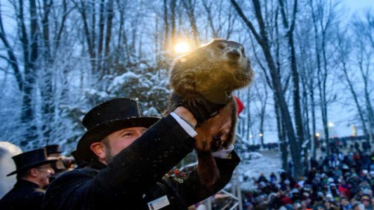 La marmota Phil «predijo» seis semanas más de invierno en EEUU