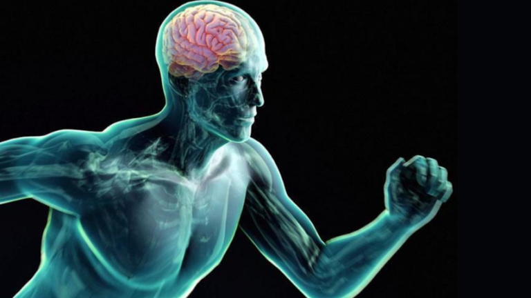 Vida: Ciencia no avala beneficios cognitivos del ejercicio