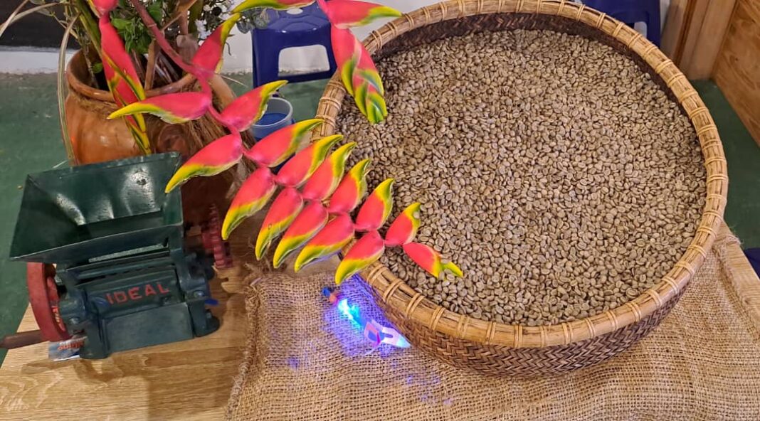 Granos de café larense en la Feria del Café de Barquisimeto
