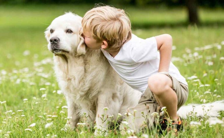 Vida: ¿Tener perro o gato influye en las alergías en niños?