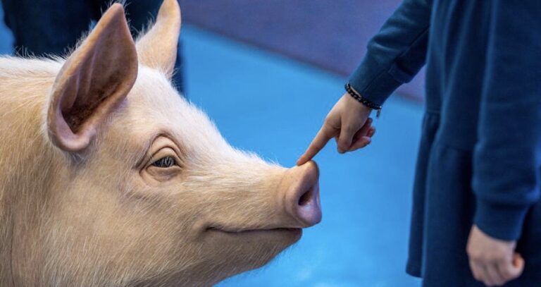 Marcha en Portugal pide protección de animales en la Constitución