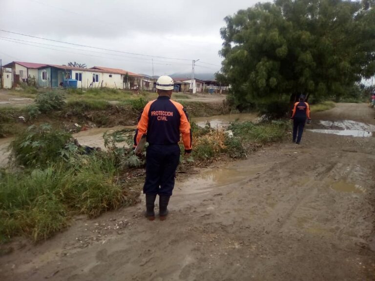 56 viviendas afectadas por recientes precipitaciones en Lara