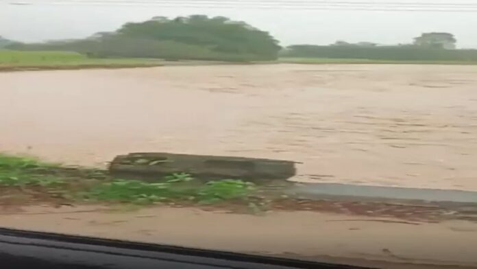 Táchira Río Arenosa