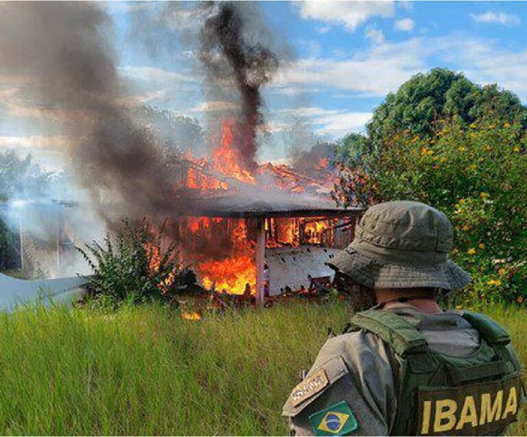 Brasil destruye avión de minería ilegal tras cierre aéreo en tierra Yanomami