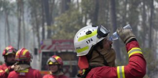 Bomberos Portugal