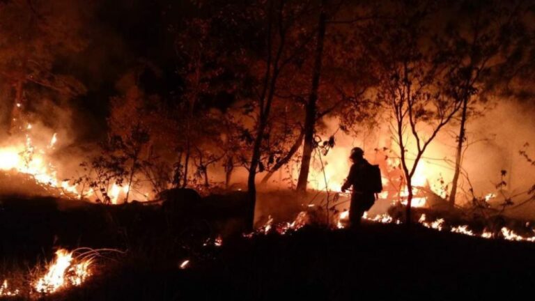 Incendios afectan más de 35.600 hectáreas en Honduras