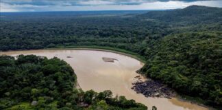 cadáveres Brasil