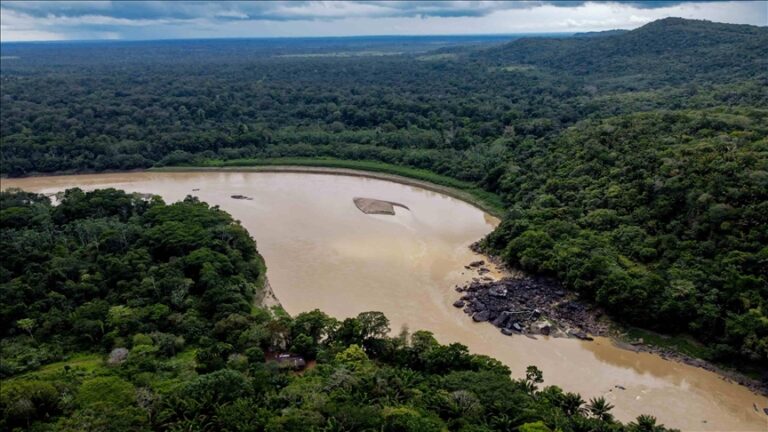 cadáveres Brasil
