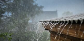 Lluvias