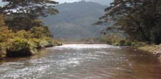 Cauce del río Motatán en la entidad trujillana/Foto: Cortesía