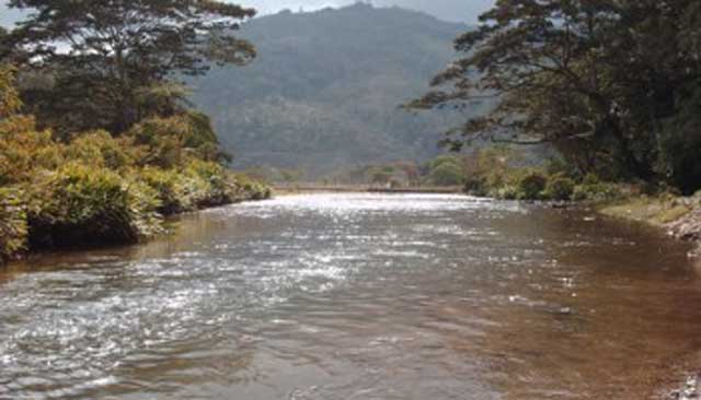 Cauce del río Motatán en la entidad trujillana/Foto: Cortesía