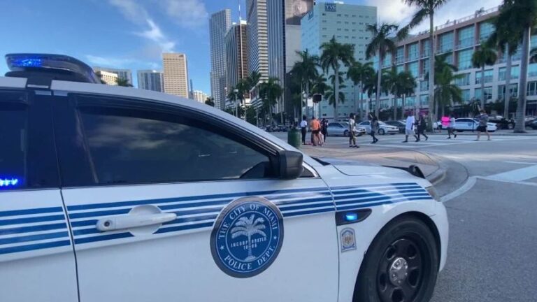 Buscan a mujer que drogó y robó a un hombre $ 600.000 en joyas en Miami