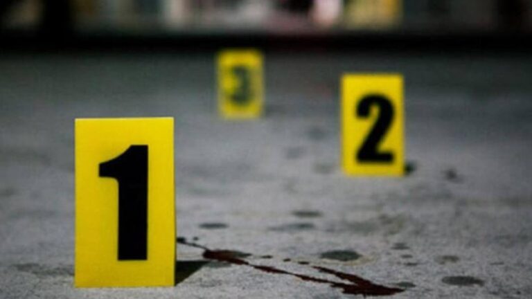 Detienen a un hombre por asesinato en La Guaira