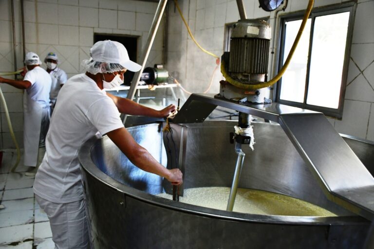 Problemas en servicios públicos incide en la producción de leche