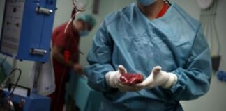 ONTV pide retomar el sistema de trasplante de órganos