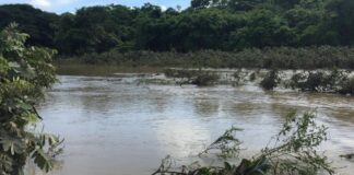 Río Paya mantiene en riesgo a las zonas rurales de Parapara