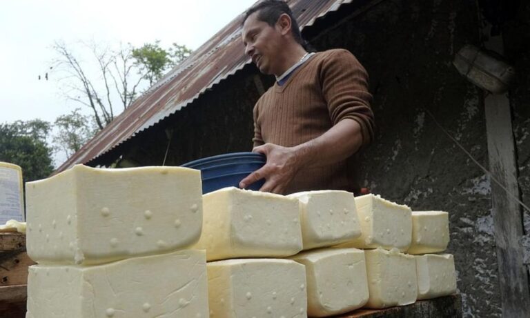 Reportan aumento de la informalización de los productos lácteos