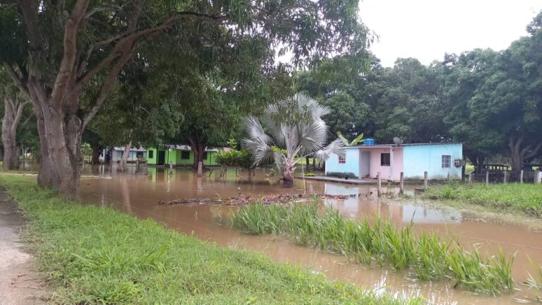 Lluvias afectaron comunidades agrícolas de Cojedes