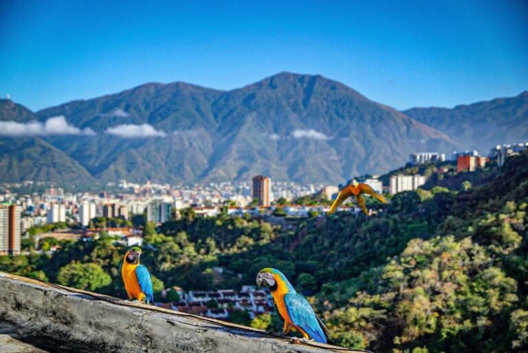 Plantean impulsar el turismo de Caracas ante su aniversario