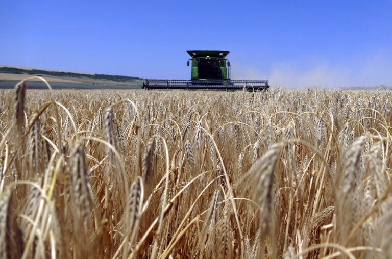 Borrell alerta crisis alimentaria en el mundo por la destrucción de silos en Odesa