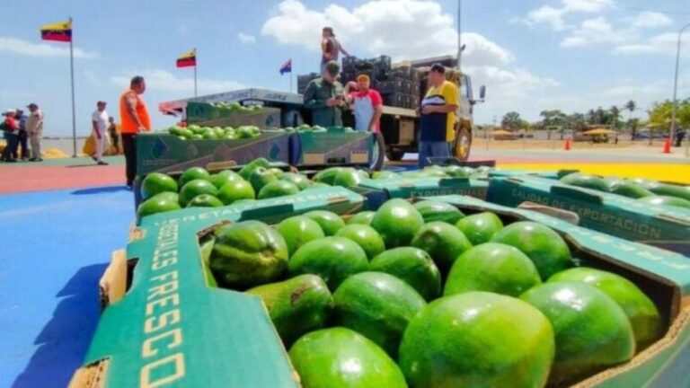Exportación de rubros a las islas ABC no cumple expectativas de los empresarios de Falcón
