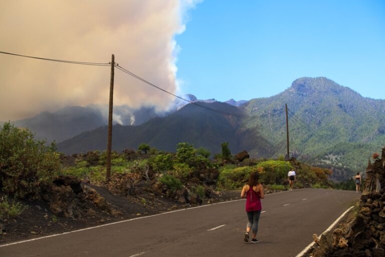 El incendio de Canarias avanza sin control sobre 4.500 hectáreas