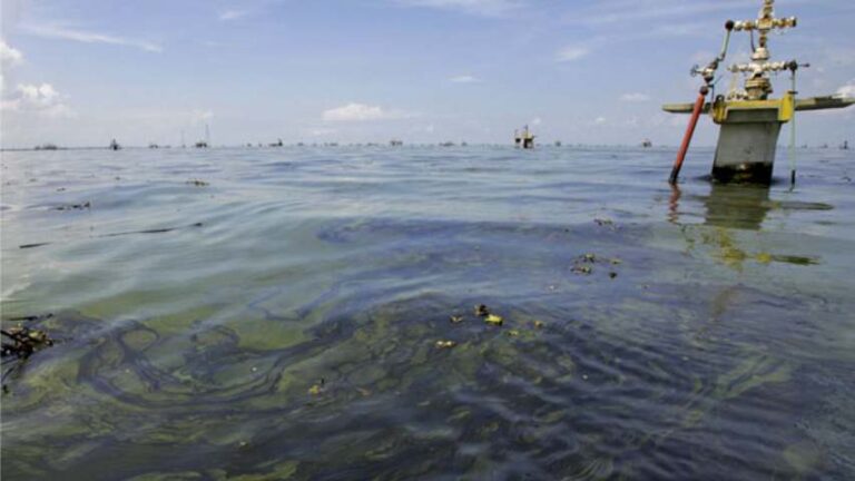 Gobierno limpiará unas 600 playas afectadas por la contaminación en el Lago de Maracaibo