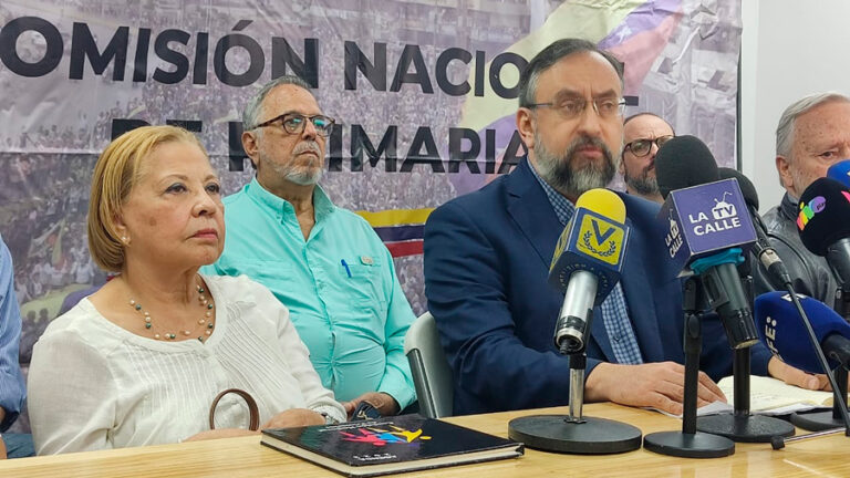 vicepresidenta de la Comisión Nacional de Primarias, Mildred Camero