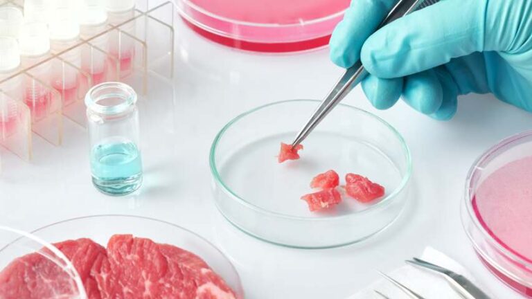 Nueva era alimentaria: Europa se abre a la carne de laboratorio