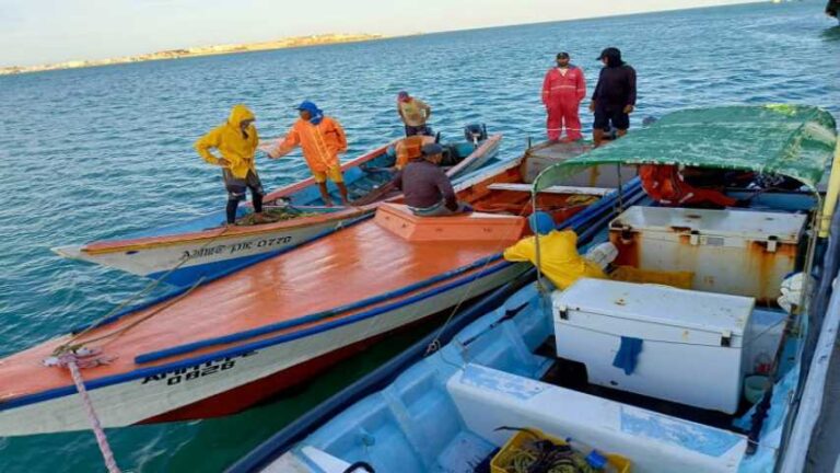Autoridades reportan aumento de la importación en la Península de Paraguaná