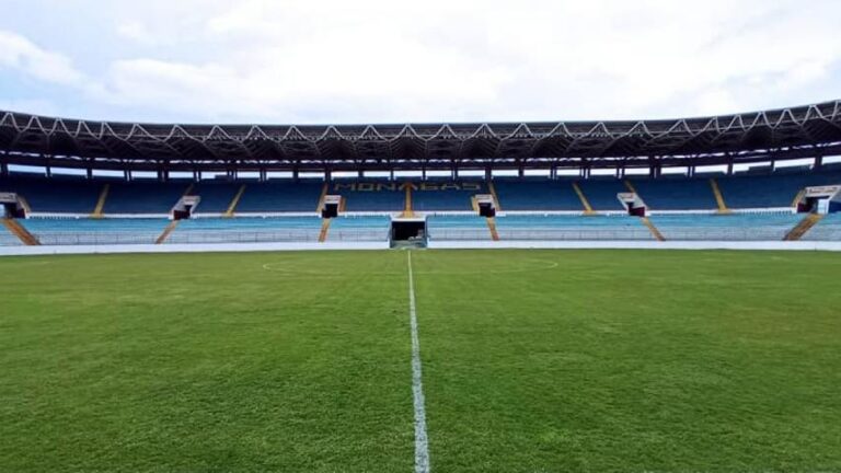 Desde $10 están los precios de las entradas para el Venezuela vs Paraguay