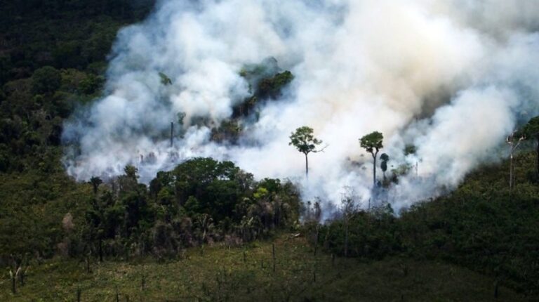 Incendios en la Amazonía de Brasil cayeron un 48% en agosto