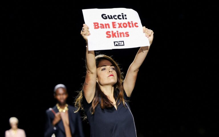 Activista de PETA irrumpe en desfile de Gucci en la Semana de la Moda de Milán