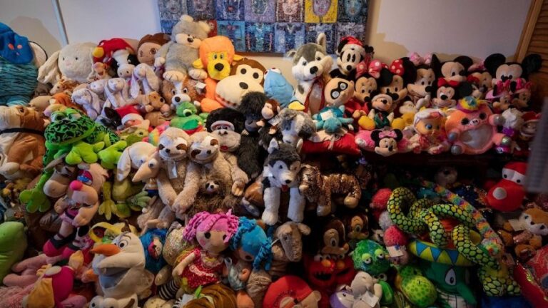 Hospital de Peluches: una iniciativa que «dignifica» los juguetes para darle alegría a los niños