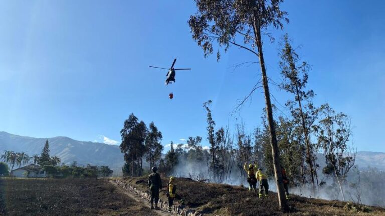 Quito registró 22 incendios forestales en menos de un día