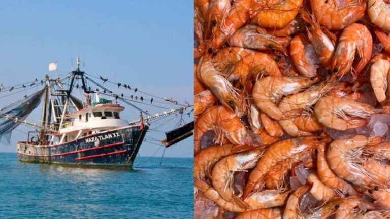 Experto en aduanas: Se está exportando café, camarón, maquinarias y ciertas materias primas