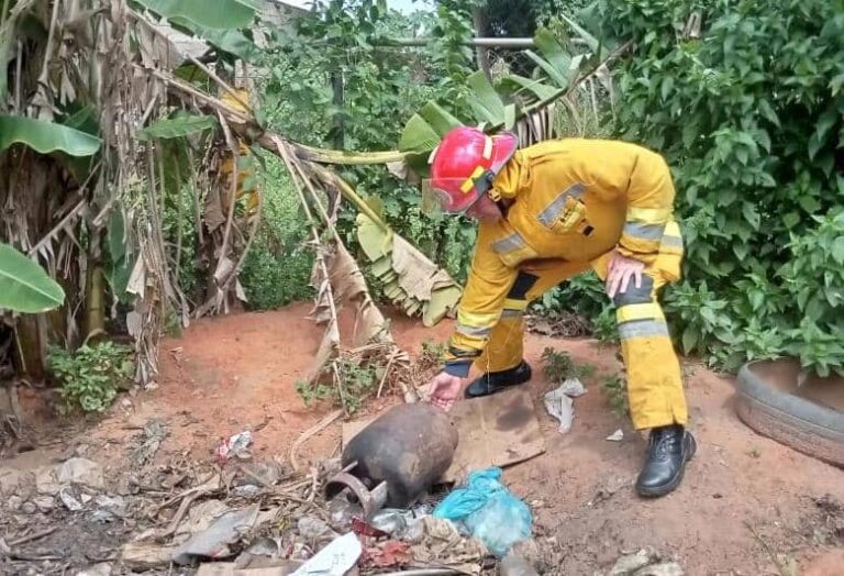 Bombona Monagas