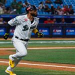 Leones del Caracas