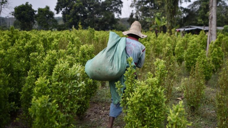 Piden reducir uso de agroquímicos para combatir calentamiento global