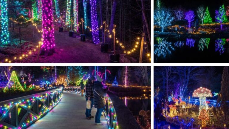 Exhibición de luces navideñas «Gardens Aglow» en Maine EEUU