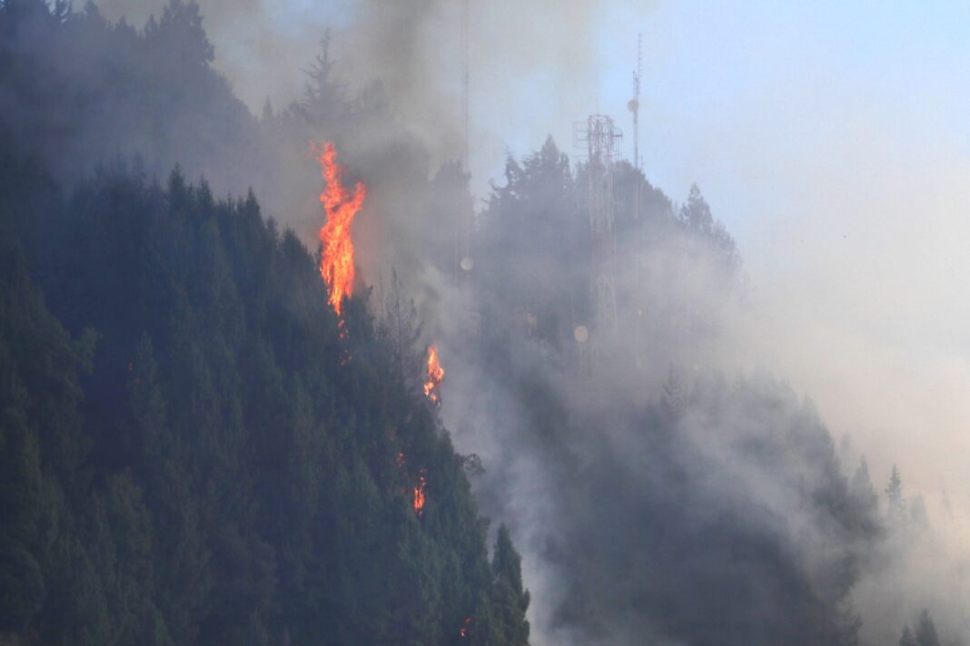 Se han contabillizado 8 incendios forestales en Lara durante el 2024