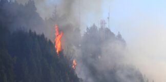 Se han contabillizado 8 incendios forestales en Lara durante el 2024