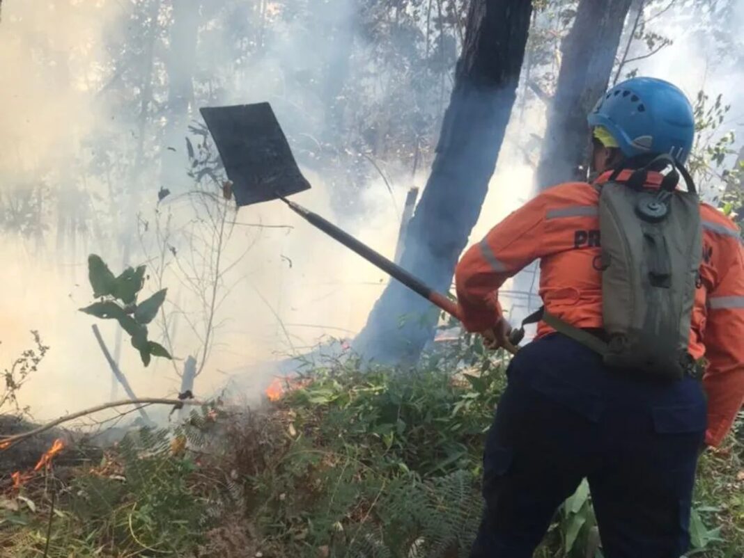 Más de 50 incendios registra Trujillo en lo que va de año