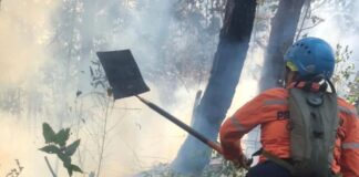 Más de 50 incendios registra Trujillo en lo que va de año