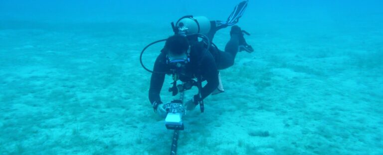 Chile y Google anuncian primer cable submarino de fibra óptica