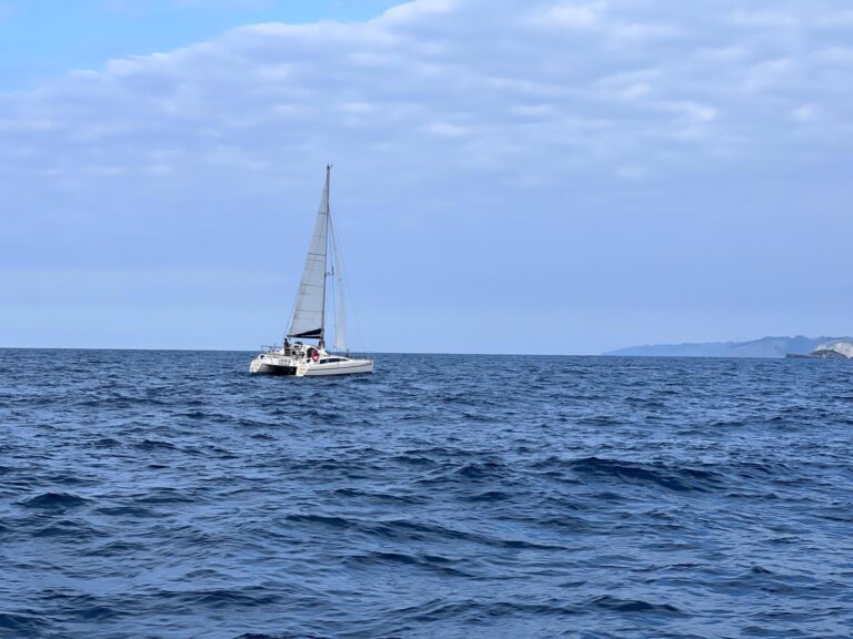 Una estadounidense murió al ahogarse tras caer de un velero en Bahamas