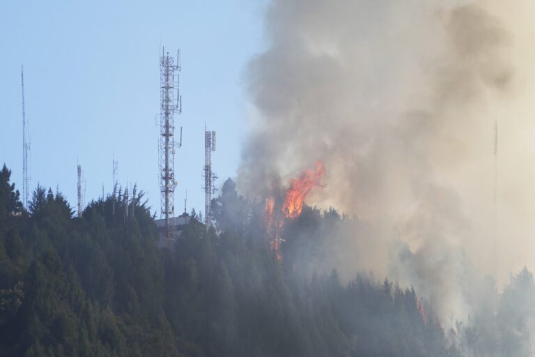 Alerta en Monagas por aumento de incendios forestales