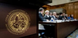 Egipto presentará su alegato ante la Corte de la ONU por la ocupación israelí en Palestina