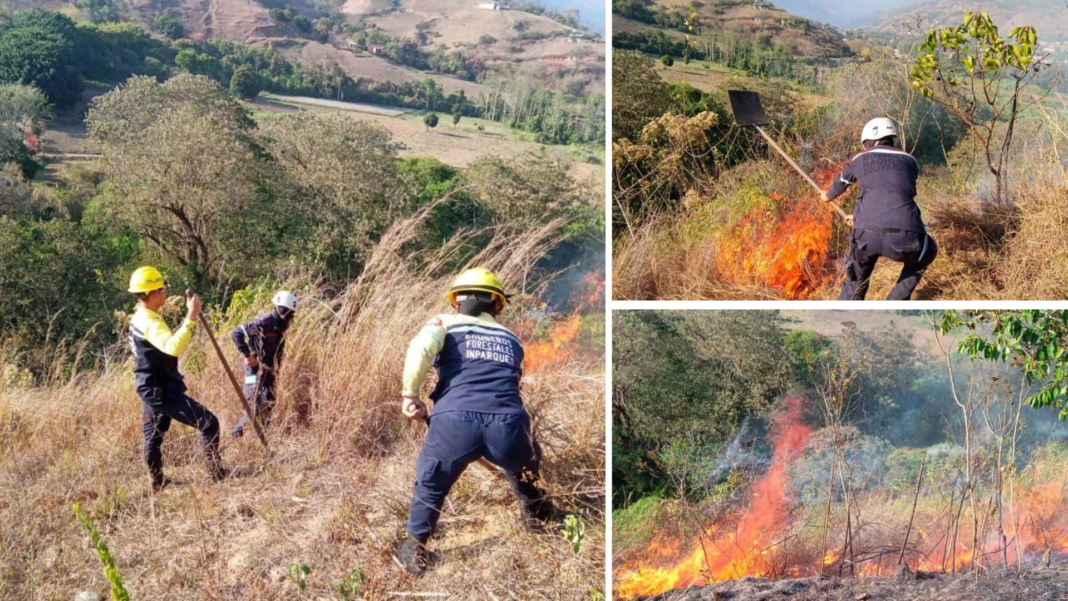 Incendios en Trujillo son generados por la quema agrícola